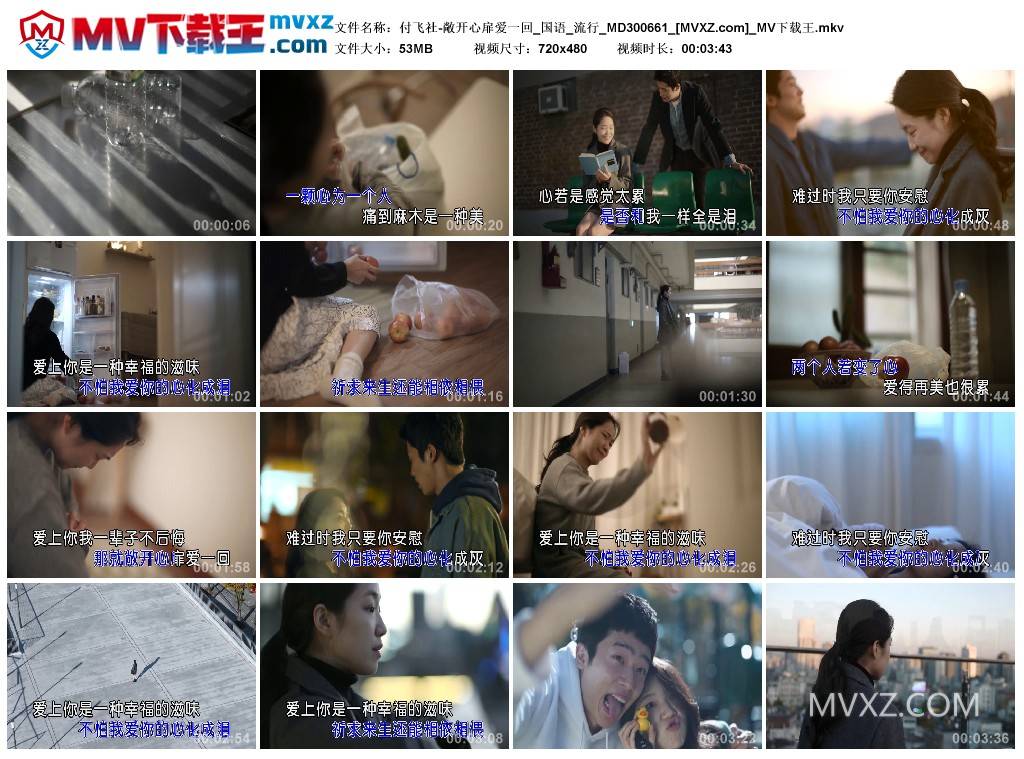 付飞社-敞开心扉爱一回_国语_流行_MD300661